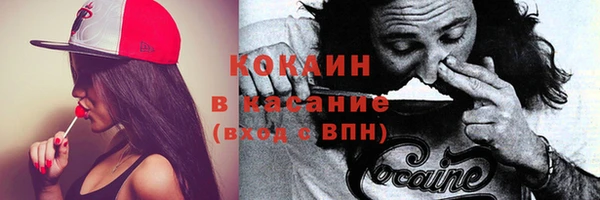 ГАЛЛЮЦИНОГЕННЫЕ ГРИБЫ Аркадак