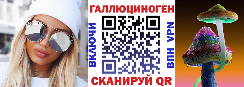 Псилоцибиновые грибы Psilocybe  где купить наркотик  Медвежьегорск 