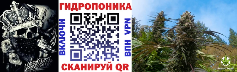 гидра shop официальный сайт Бошки марихуана планчик Медвежьегорск